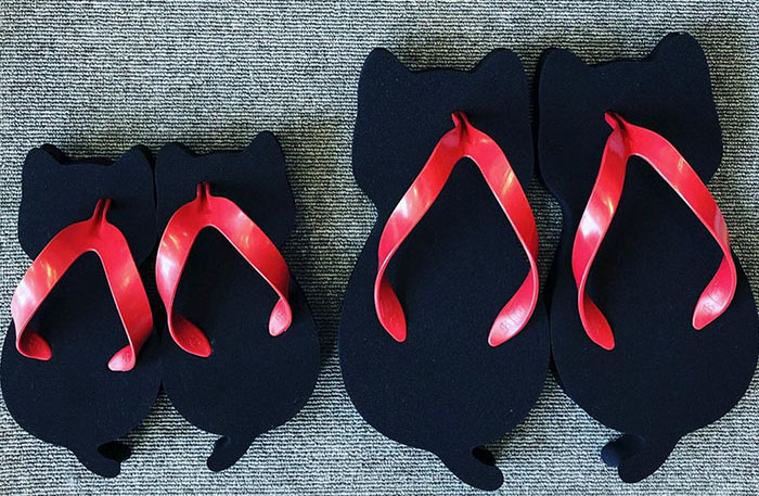 Japanese Company Creates The Purrrfect Sandals For Crazy Cat Lovers